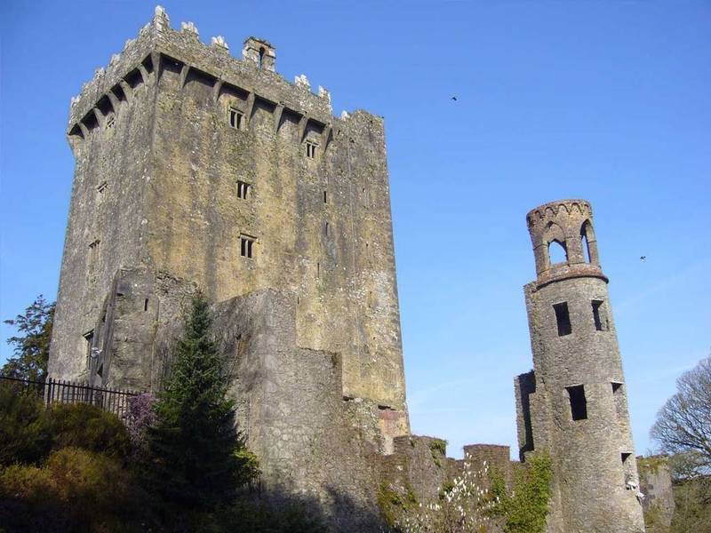 Self Catering Lodges At The Blarney Hotel & Golf Resort Exterior foto